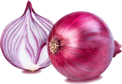 Onion